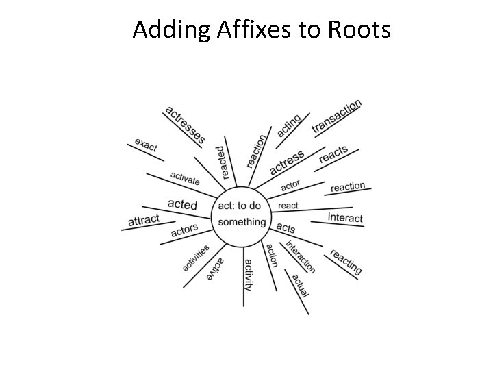 Adding Affixes to Roots 