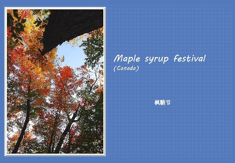 Maple syrup festival (Canada) 枫糖节 
