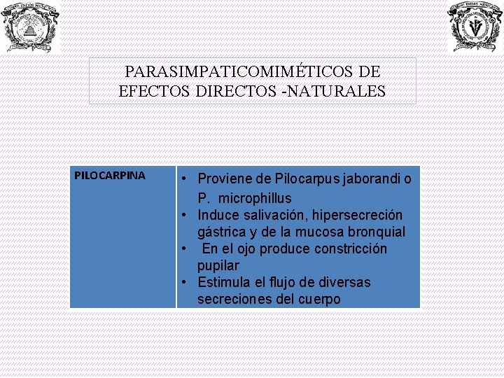 PARASIMPATICOMIMÉTICOS DE EFECTOS DIRECTOS -NATURALES PILOCARPINA • Proviene de Pilocarpus jaborandi o P. microphillus