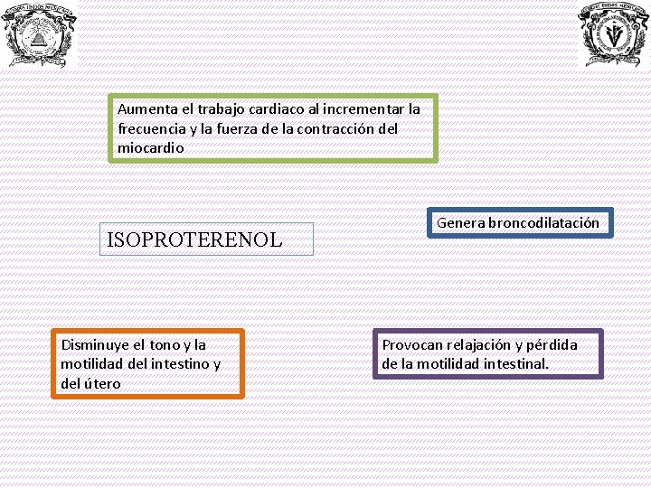 Aumenta el trabajo cardiaco al incrementar la frecuencia y la fuerza de la contracción