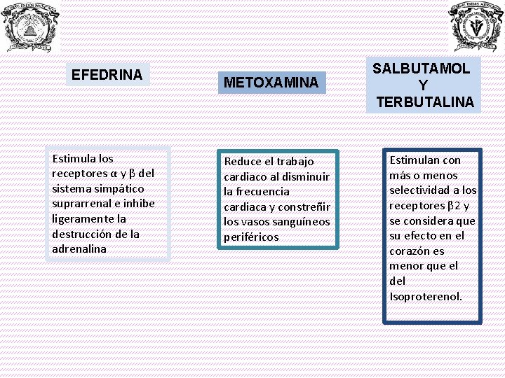 EFEDRINA Estimula los receptores α y β del sistema simpático suprarrenal e inhibe ligeramente