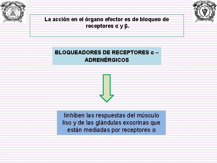 La acción en el órgano efector es de bloqueo de receptores α y β.