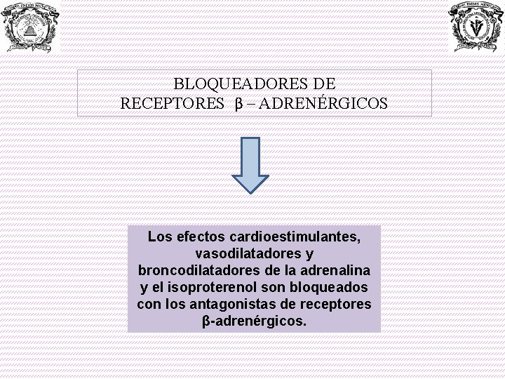 BLOQUEADORES DE RECEPTORES β – ADRENÉRGICOS Los efectos cardioestimulantes, vasodilatadores y broncodilatadores de la