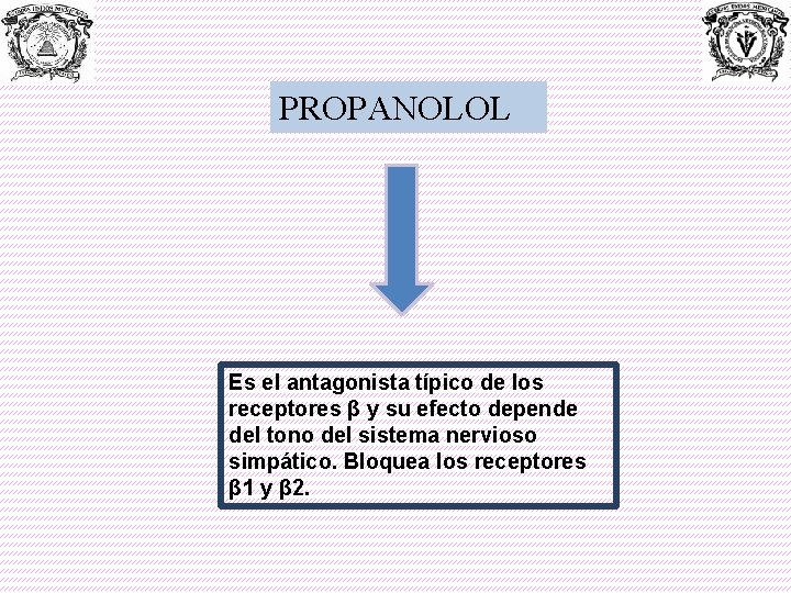 PROPANOLOL Es el antagonista típico de los receptores β y su efecto depende del