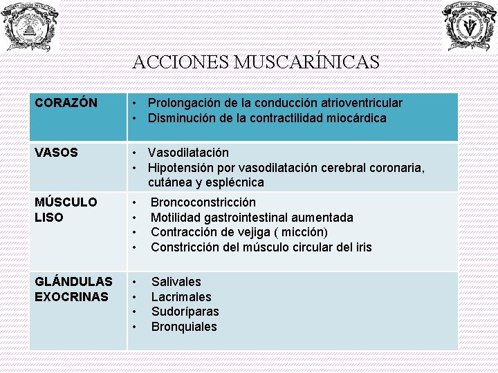 ACCIONES MUSCARÍNICAS CORAZÓN • Prolongación de la conducción atrioventricular • Disminución de la contractilidad