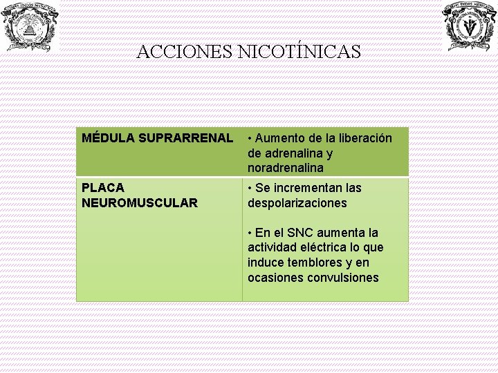 ACCIONES NICOTÍNICAS MÉDULA SUPRARRENAL • Aumento de la liberación de adrenalina y noradrenalina PLACA