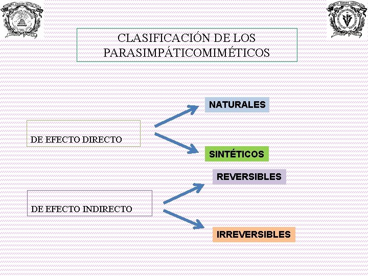CLASIFICACIÓN DE LOS PARASIMPÁTICOMIMÉTICOS NATURALES DE EFECTO DIRECTO SINTÉTICOS REVERSIBLES DE EFECTO INDIRECTO IRREVERSIBLES