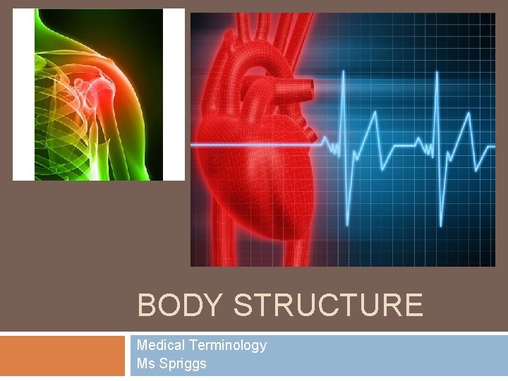 BODY STRUCTURE Medical Terminology Ms Spriggs 
