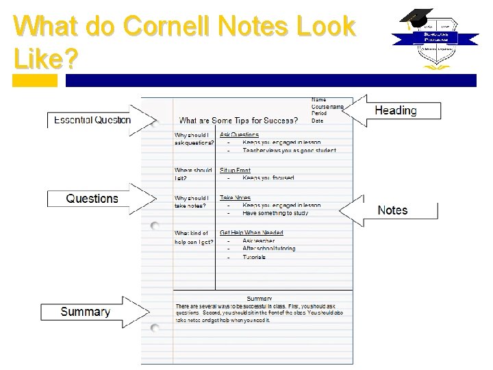 What do Cornell Notes Look Like? 