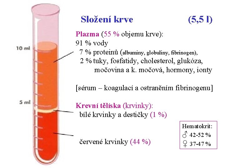Složení krve (5, 5 l) Plazma (55 % objemu krve): 91 % vody 7