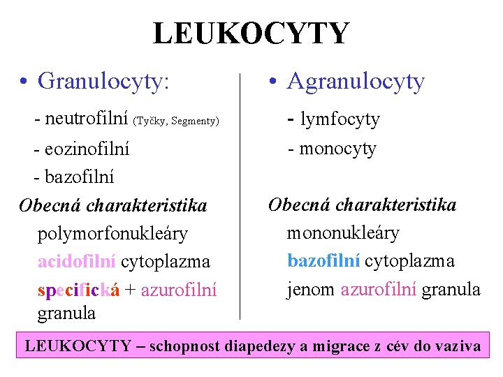 LEUKOCYTY • Granulocyty: • Agranulocyty - neutrofilní (Tyčky, Segmenty) - lymfocyty - eozinofilní -
