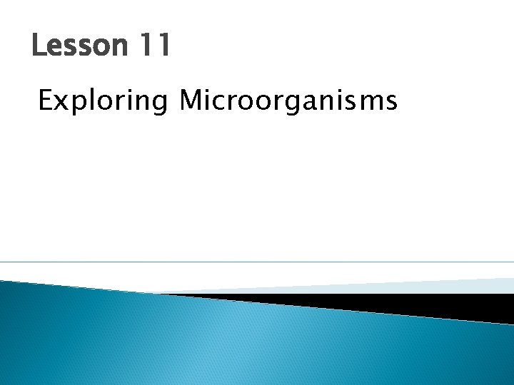 Lesson 11 Exploring Microorganisms 