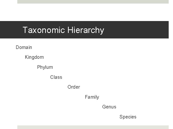 Taxonomic Hierarchy Domain Kingdom Phylum Class Order Family Genus Species 