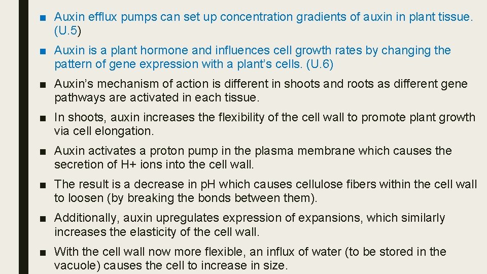 ■ Auxin efflux pumps can set up concentration gradients of auxin in plant tissue.