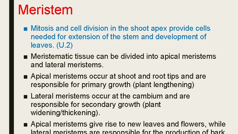 Meristem ■ Mitosis and cell division in the shoot apex provide cells needed for