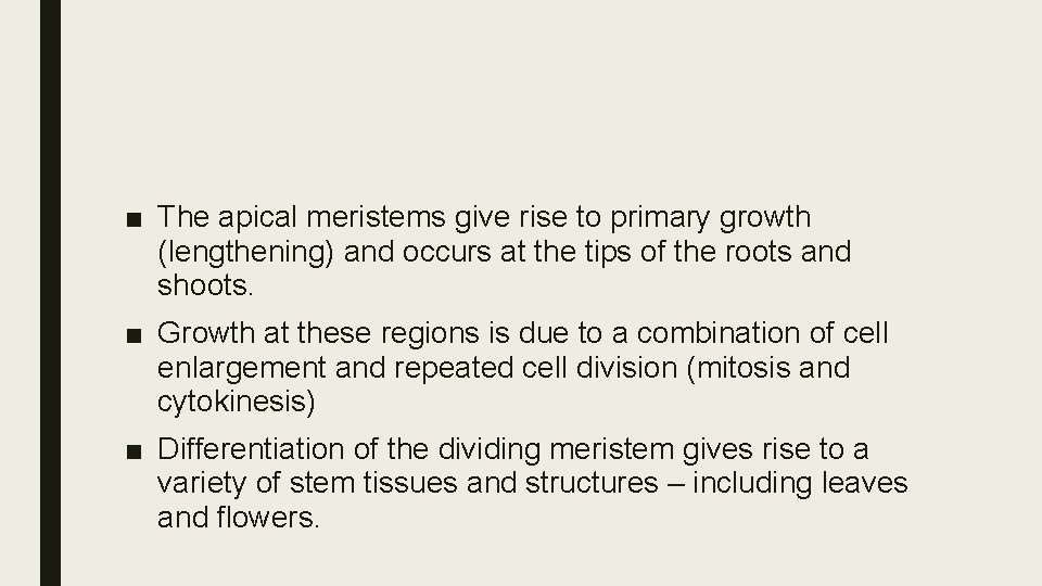 ■ The apical meristems give rise to primary growth (lengthening) and occurs at the