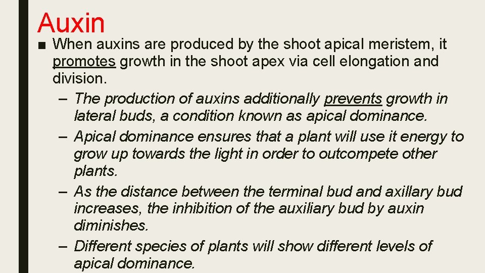 Auxin ■ When auxins are produced by the shoot apical meristem, it promotes growth