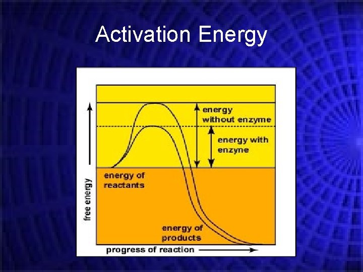 Activation Energy 