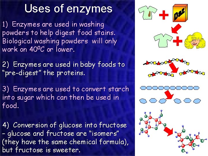 Uses of enzymes 1) Enzymes are used in washing powders to help digest food