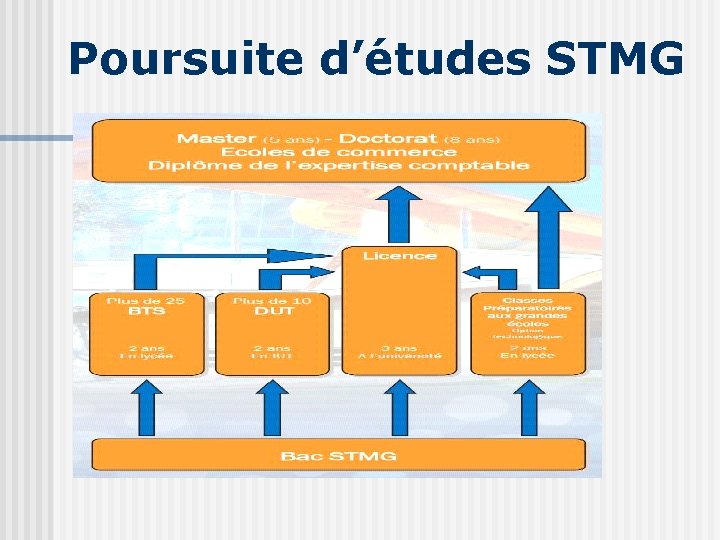 Poursuite d’études STMG 