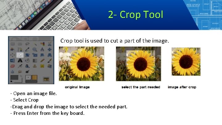 2 - Crop Tool Crop tool is used to cut a part of the