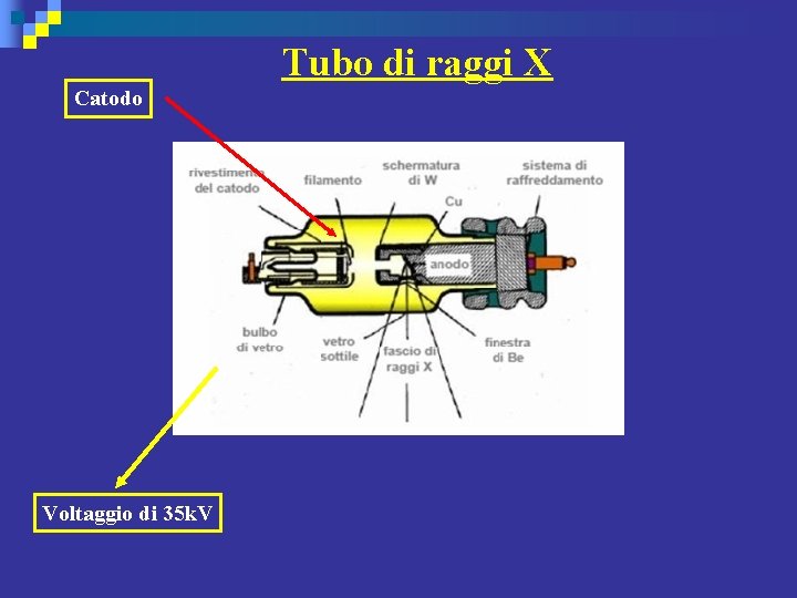 Tubo di raggi X Catodo Voltaggio di 35 k. V 