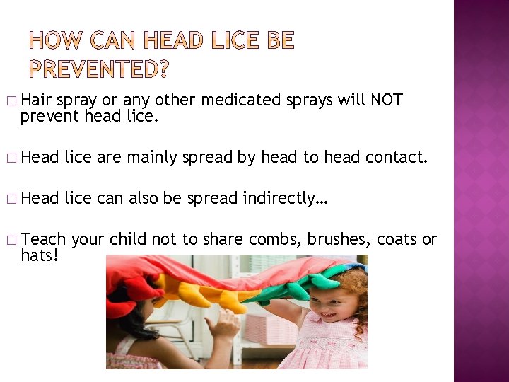 � Hair spray or any other medicated sprays will NOT prevent head lice. �