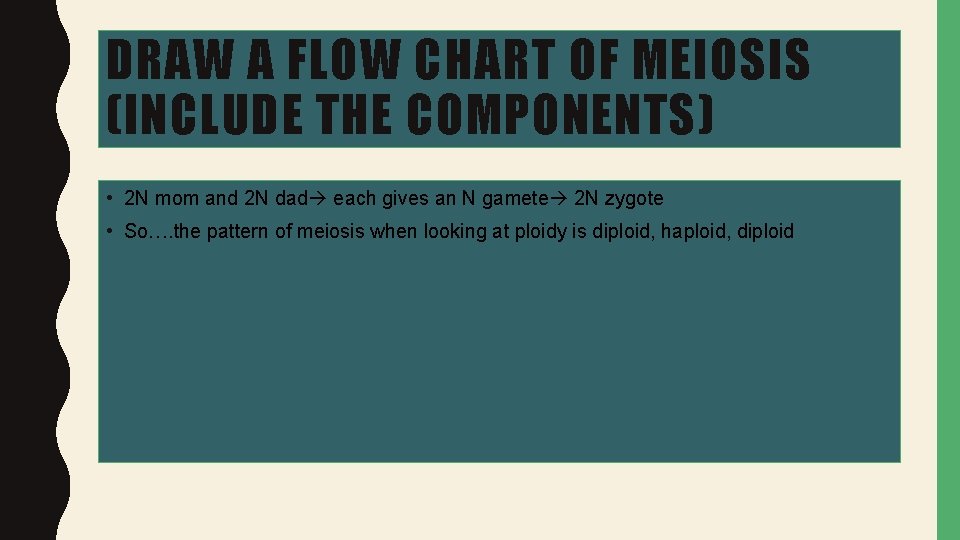 DRAW A FLOW CHART OF MEIOSIS (INCLUDE THE COMPONENTS) • 2 N mom and