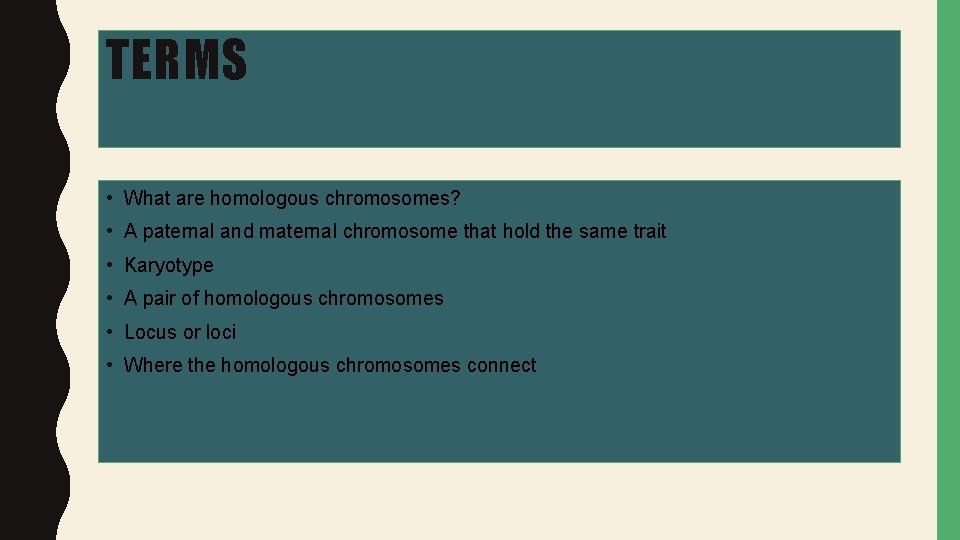 TERMS • What are homologous chromosomes? • A paternal and maternal chromosome that hold