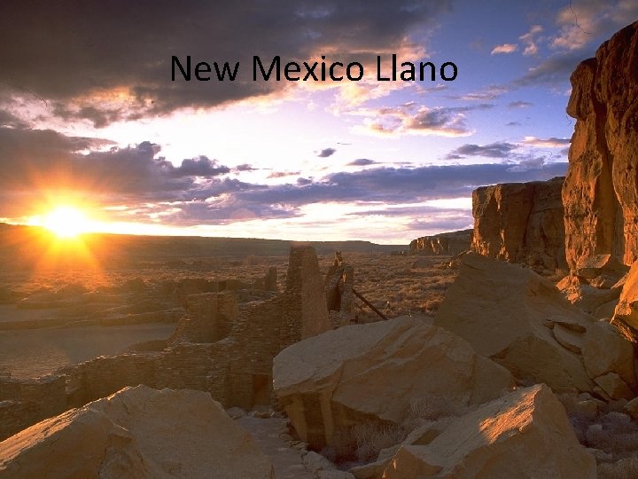 New Mexico Llano 