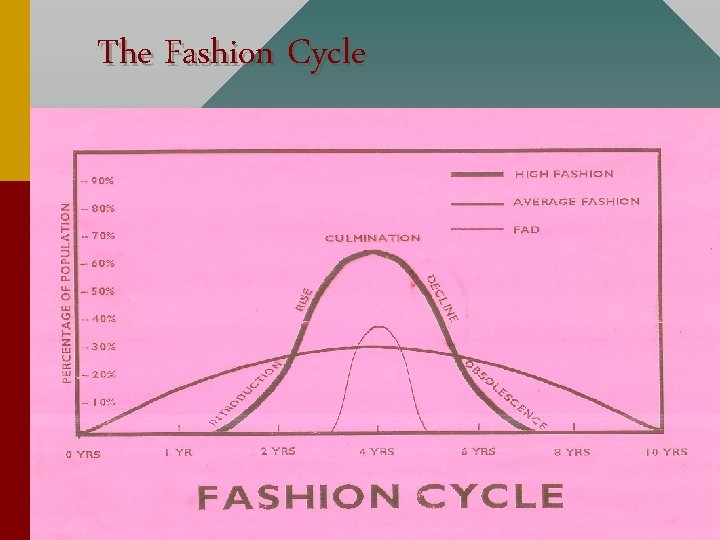 The Fashion Cycle 