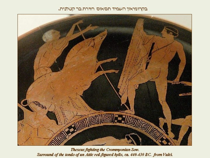 . בקרומיאון השמיד תסאוס חזירת בר קטלנית Theseus fighting the Crommyonian Sow. Surround of . בקרומיאון השמיד תסאוס חזירת בר קטלנית Theseus fighting the Crommyonian Sow. Surround of