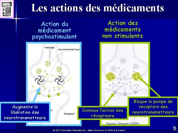 Les actions des médicaments Action du médicament psychostimulant Augmente la libération des neurotransmetteurs Action