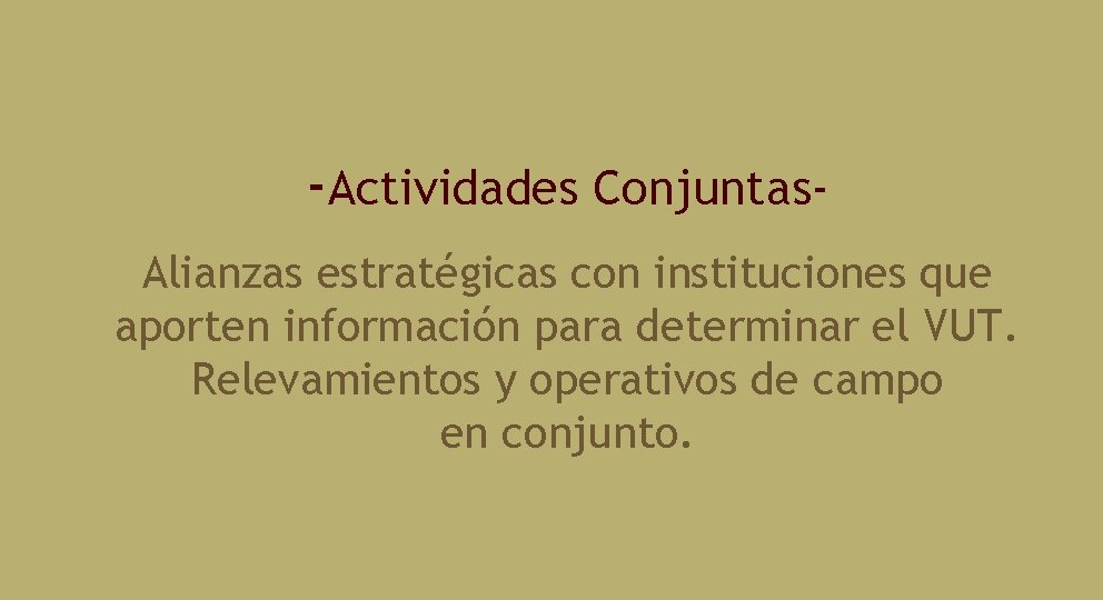 -Actividades Conjuntas. Alianzas estratégicas con instituciones que aporten información para determinar el VUT. Relevamientos