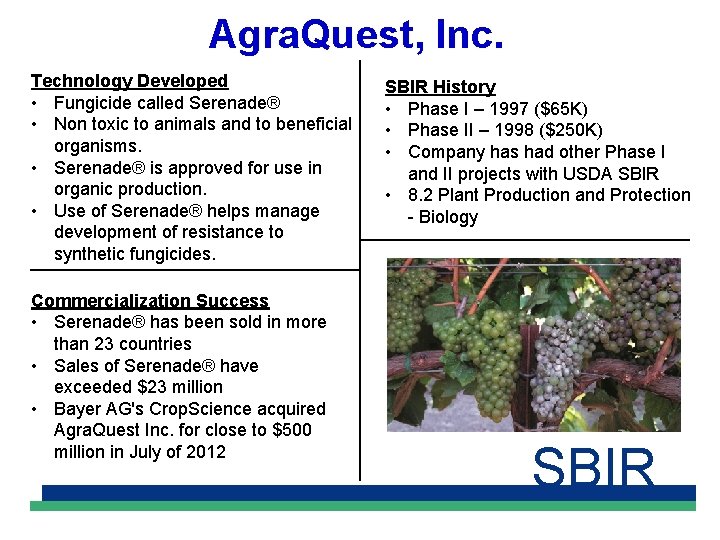 Agra. Quest, Inc. Technology Developed • Fungicide called Serenade® • Non toxic to animals