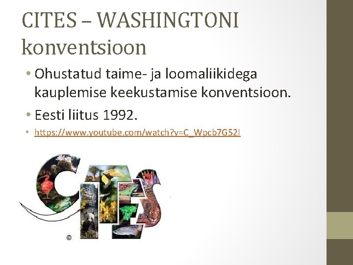 CITES – WASHINGTONI konventsioon • Ohustatud taime- ja loomaliikidega kauplemise keekustamise konventsioon. • Eesti