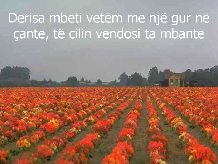 Derisa mbeti vetëm me një gur në çante, të cilin vendosi ta mbante 