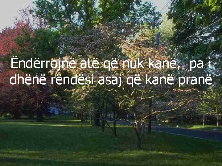 Ëndërrojnë atë që nuk kanë, pa i dhënë rëndësi asaj që kanë pranë 