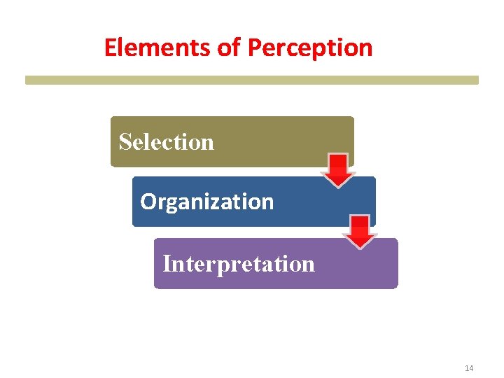 Elements of Perception Selection Organization Interpretation 14 