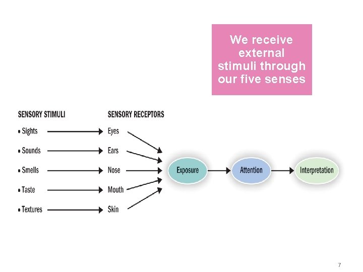 We receive external stimuli through our five senses 7 