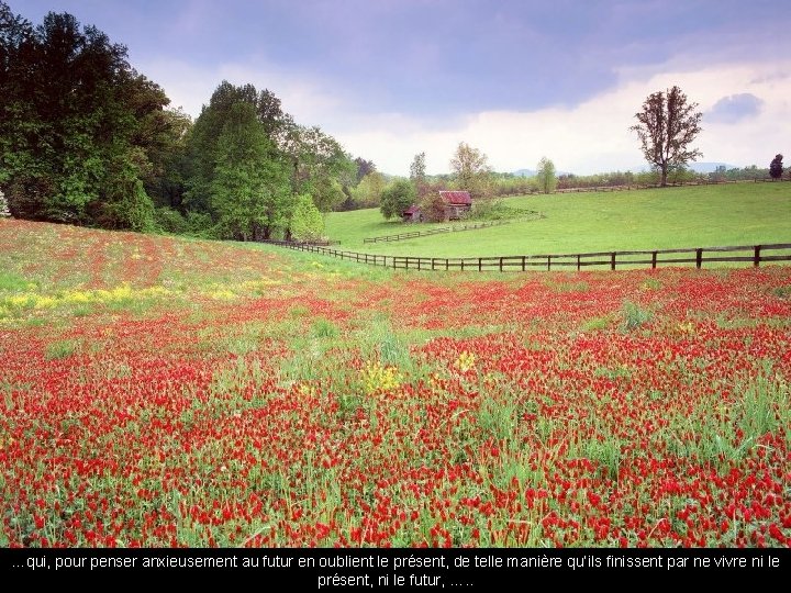 …qui, pour penser anxieusement au futur en oublient le présent, de telle manière qu’ils