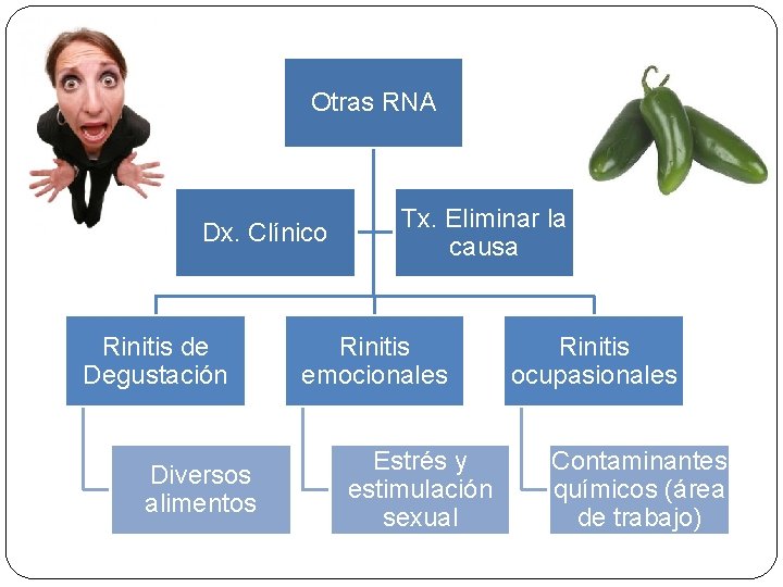 Otras RNA Dx. Clínico Rinitis de Degustación Diversos alimentos Tx. Eliminar la causa Rinitis