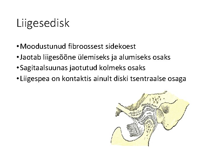 Liigesedisk • Moodustunud fibroossest sidekoest • Jaotab liigesõõne ülemiseks ja alumiseks osaks • Sagitaalsuunas