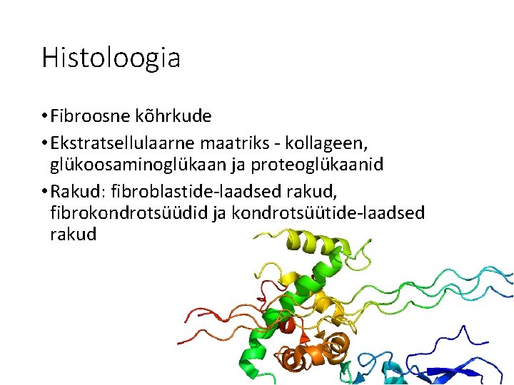 Histoloogia • Fibroosne kõhrkude • Ekstratsellulaarne maatriks - kollageen, glükoosaminoglükaan ja proteoglükaanid • Rakud: