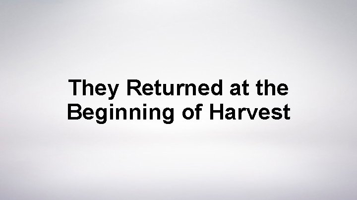 They Returned at the Beginning of Harvest 