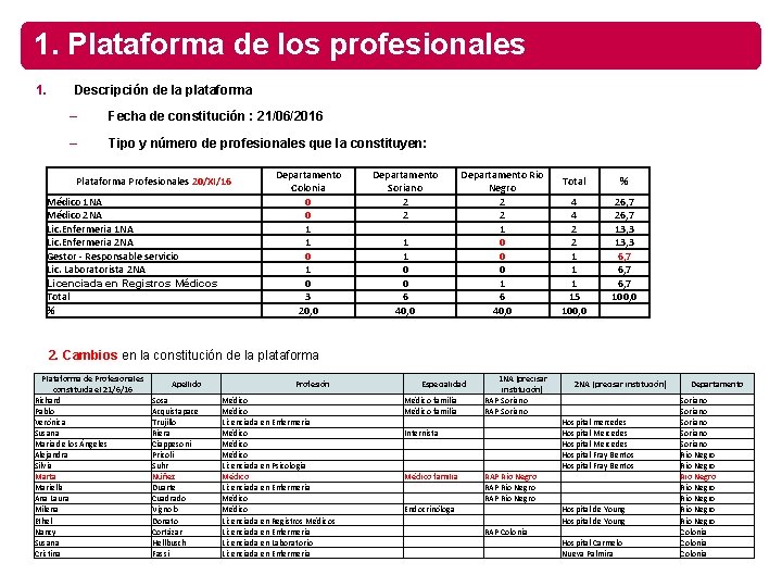 1. Plataforma de los profesionales 1. Descripción de la plataforma – Fecha de constitución