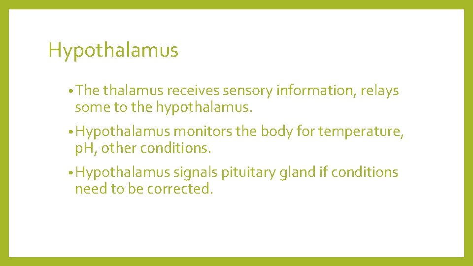 Hypothalamus • The thalamus receives sensory information, relays some to the hypothalamus. • Hypothalamus