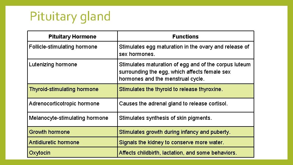 Pituitary gland Pituitary Hormone Functions Follicle-stimulating hormone Stimulates egg maturation in the ovary and