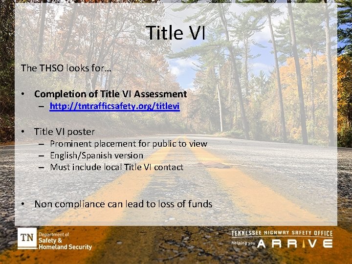 Title VI The THSO looks for… • Completion of Title VI Assessment – http: