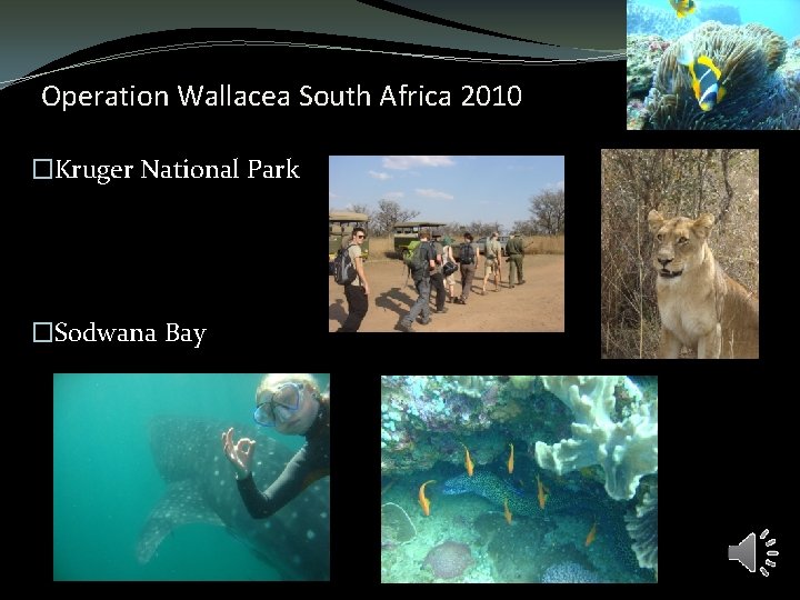 Operation Wallacea South Africa 2010 �Kruger National Park �Sodwana Bay Operation Wallacea South Africa 2010 �Kruger National Park �Sodwana Bay